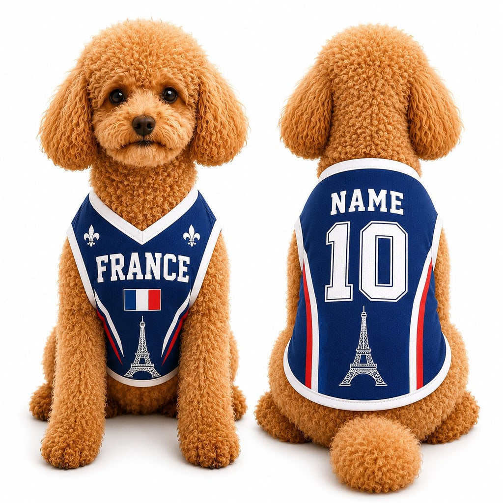 T Shirt Chien Personnalisé Style 2026, Maillot Drapeau Pays avec Nom Numéro, Tissu Mesh Léger Respirant pour Petit Moyen Grand Chien, Cadeau Fan Foot