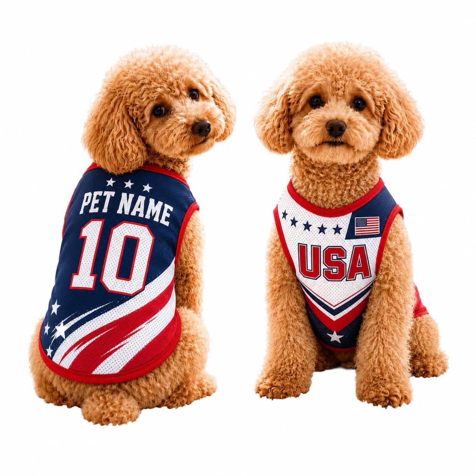 T Shirt Chien Personnalisé Style 2026, Maillot Drapeau Pays avec Nom Numéro, Tissu Mesh Léger Respirant pour Petit Moyen Grand Chien, Cadeau Fan Foot