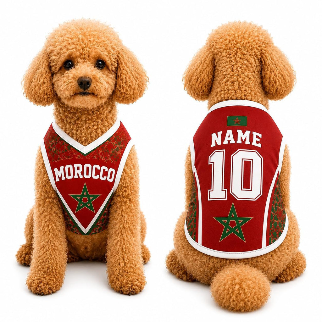 T Shirt Chien Personnalisé Style 2026, Maillot Drapeau Pays avec Nom Numéro, Tissu Mesh Léger Respirant pour Petit Moyen Grand Chien, Cadeau Fan Foot