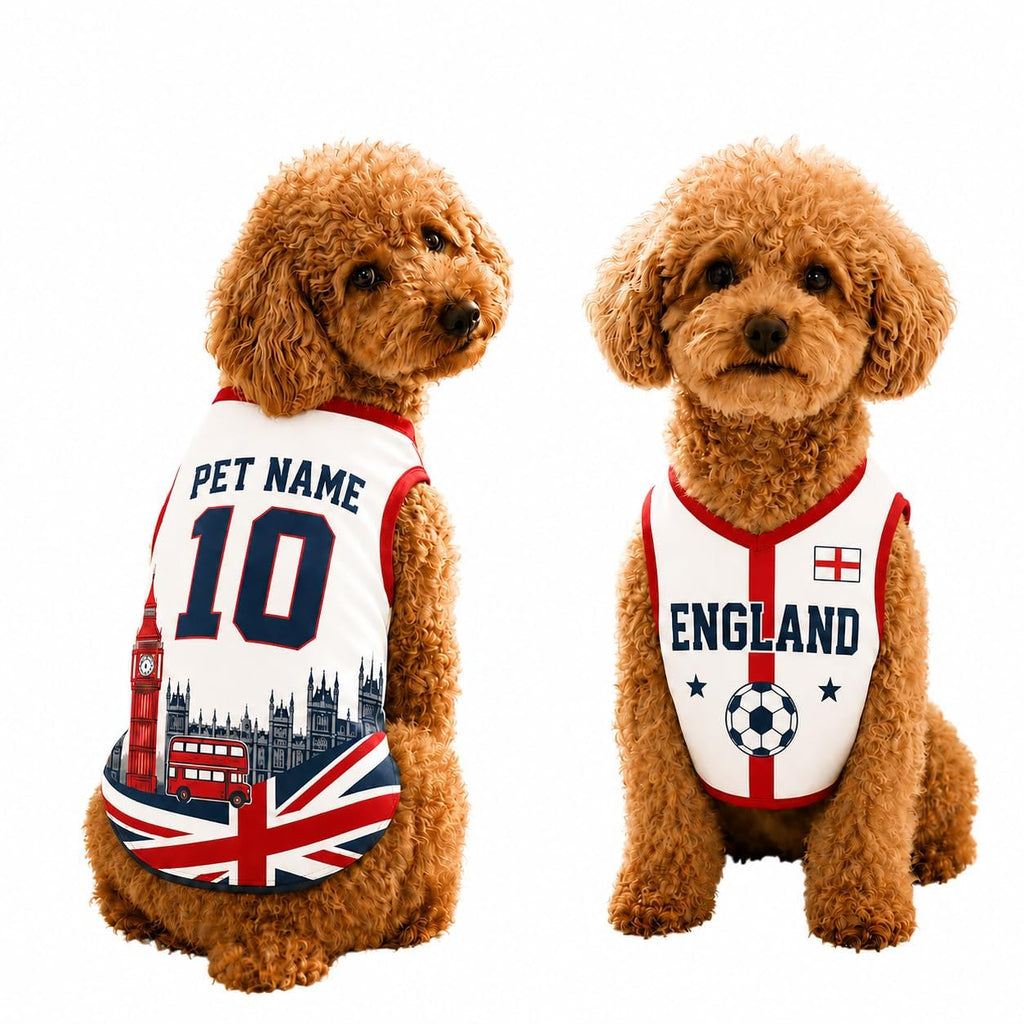 T Shirt Chien Personnalisé Style 2026, Maillot Drapeau Pays avec Nom Numéro, Tissu Mesh Léger Respirant pour Petit Moyen Grand Chien, Cadeau Fan Foot
