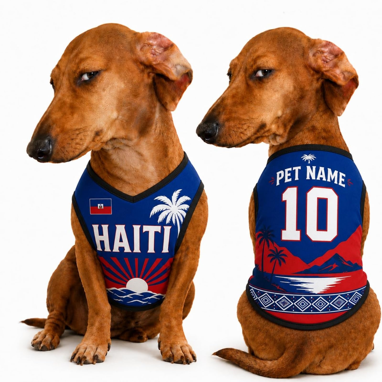 T Shirt Chien Personnalisé Style 2026, Maillot Drapeau Pays avec Nom Numéro, Tissu Mesh Léger Respirant pour Petit Moyen Grand Chien, Cadeau Fan Foot