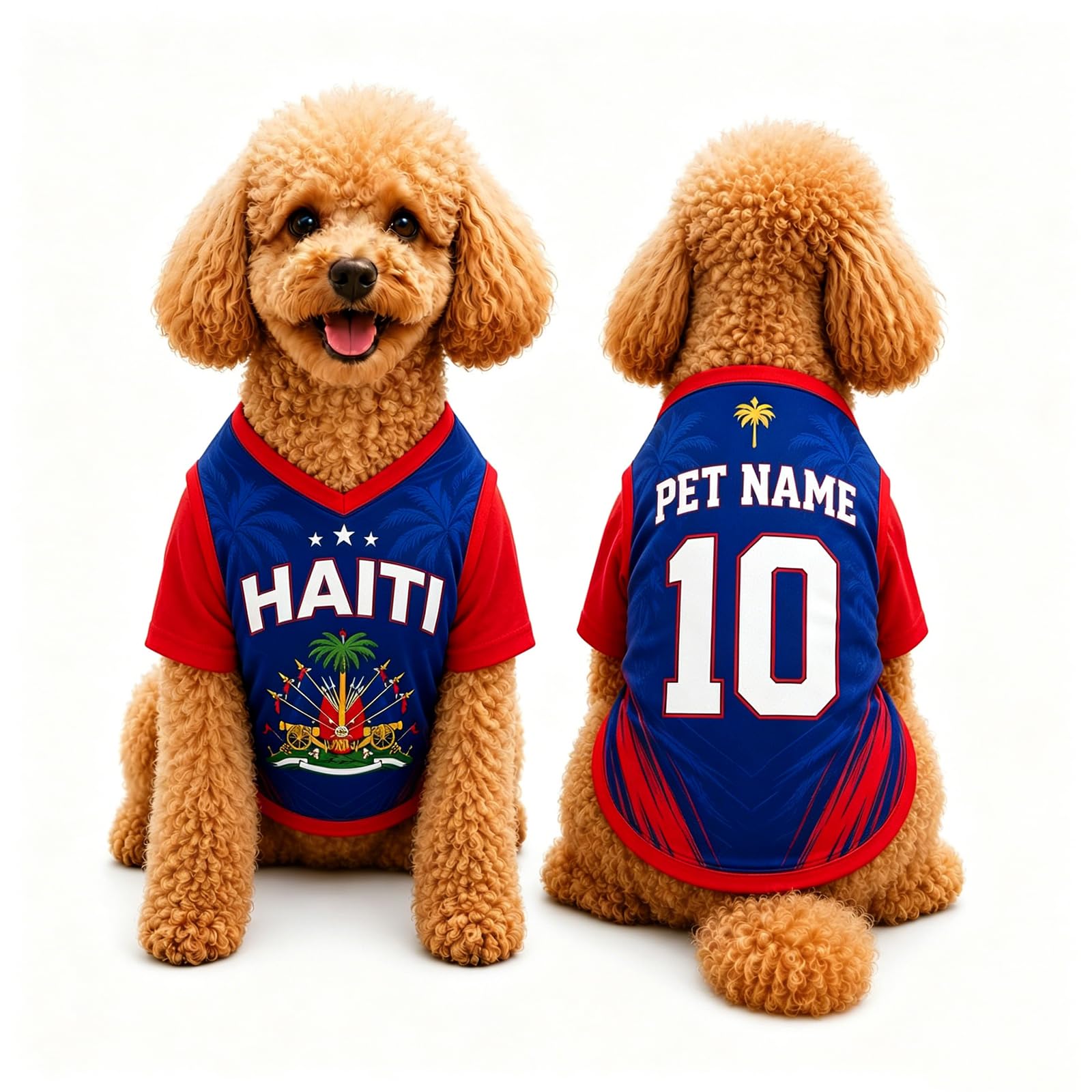 T Shirt Chien Personnalisé Style 2026, Maillot Drapeau Pays avec Nom Numéro, Tissu Mesh Léger Respirant pour Petit Moyen Grand Chien, Cadeau Fan Foot