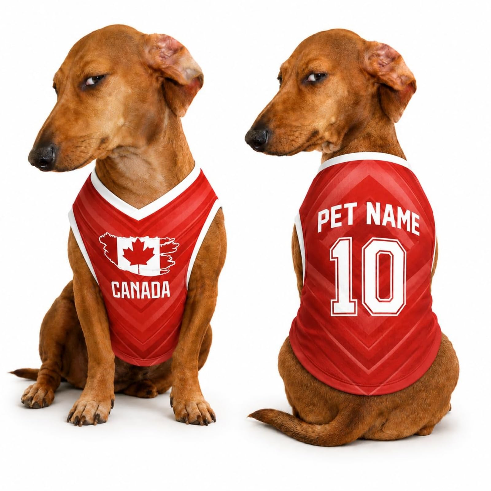 T Shirt Chien Personnalisé Style 2026, Maillot Drapeau Pays avec Nom Numéro, Tissu Mesh Léger Respirant pour Petit Moyen Grand Chien, Cadeau Fan Foot